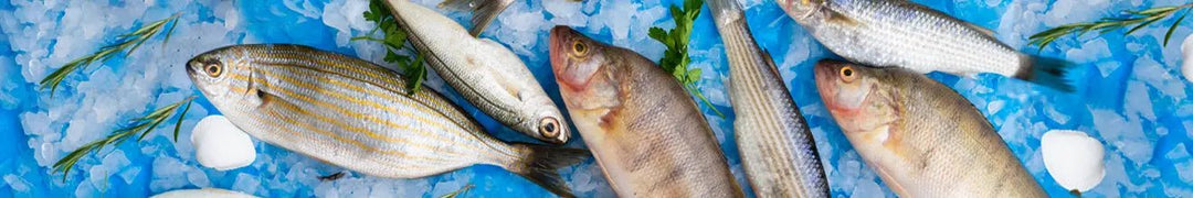 Fisch TK - GM Markt Eshop